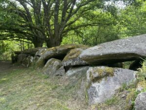 Lire la suite à propos de l’article À la découverte des lieux sacrés : un voyage vers l&rsquo;esprit du lieu et vers soi-même